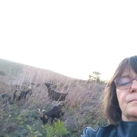 Дом отдыха Quintal Do Ti Zaquiel Casais do Chao da Mendiga