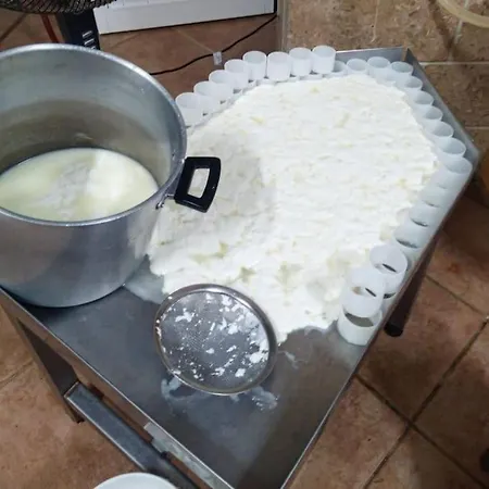 Quintal Do Ti Zaquiel