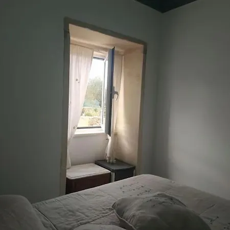 Quintal Do Ti Zaquiel *