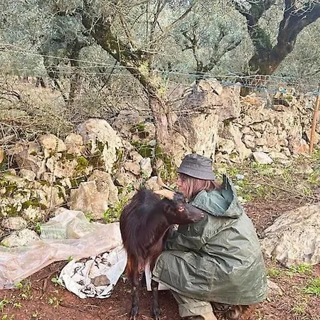Дом отдыха Quintal Do Ti Zaquiel Casais do Chao da Mendiga