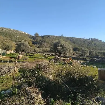 Дом отдыха Quintal Do Ti Zaquiel Casais do Chao da Mendiga