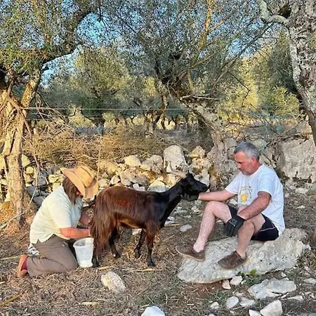 Quintal Do Ti Zaquiel *