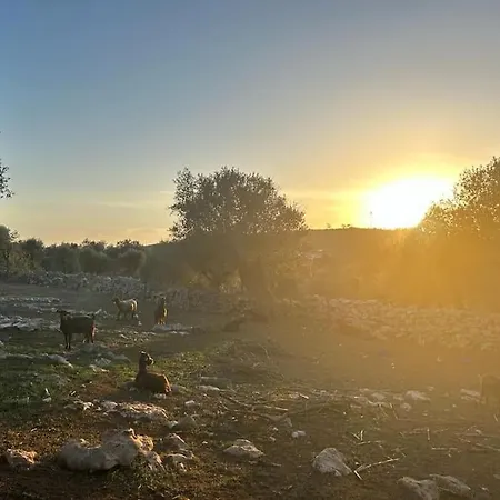 Quintal Do Ti Zaquiel *