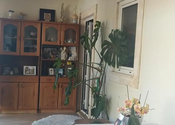 Quintal Do Ti Zaquiel