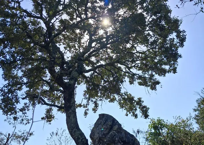 Quintal Do Ti Zaquiel Vakantiehuis Casais do Chao da Mendiga